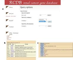 rcdb renal cancer gene database bmc