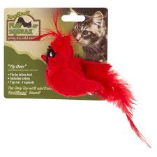 ourpets play n squeak cardinal cat toy