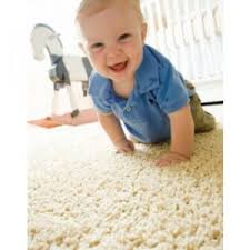 flooring trends softer carpet and