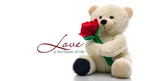 i love you teddy bear wallpapers hd