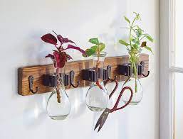 Indoor Plant Wall Ideas For Cuttings