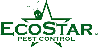ecostarpestcontrol.com gambar png