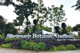 2023 3 hours singapore botanic gardens