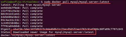 mysql docker container tutorial