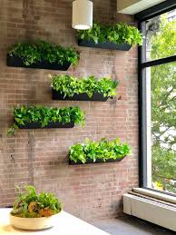 Indoor vertical wall garden diy. Living Wall Design Maintenance