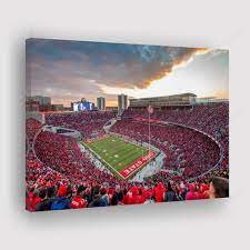 Ohio State Stadium Panoramic Canvas