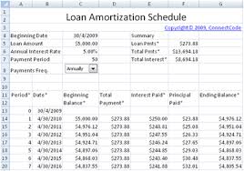 Professional Loan Amortization Schedule
