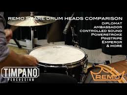 Ultimate Remo Snare Drum Heads Comparison Timpano Percussion