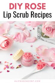 diy rose lip scrub 4 recipes a life