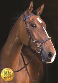 Micklem Multi Bridle By Rambo
