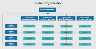 They are trained on the business side of musicians and helping them navigate the music business. 8 Types Of Organizational Structures In Project Management