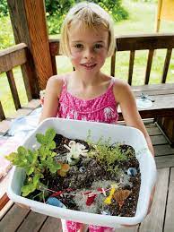 fairy garden flowers and plants