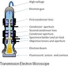 Electron Microscope Wikipedia