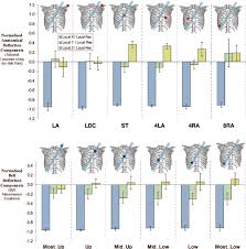Belt And Anatomical Deflection Component Contributions The