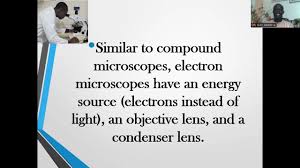 electron microscopes you