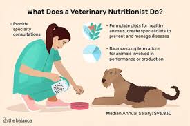 Vet assistant employment & salary by state (2021). Veterinary Assistant Job Description Salary Skills More