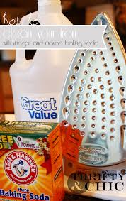 Thrifty And Chic Diy Projects And