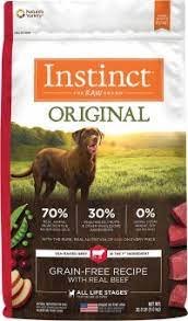 the best dry dog food brands 2023
