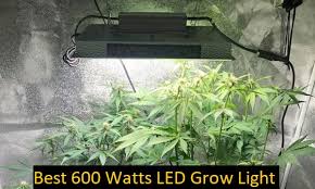 Best 600 Watts Led Grow Light Full Spectrum Review 2020 420 Big Bud