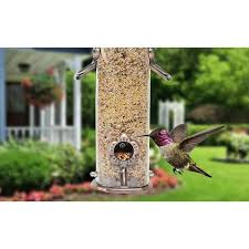 metal hanging bird feeder