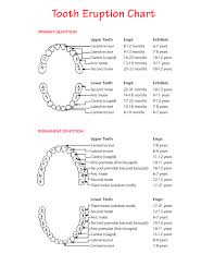 Teeth Eruption Chart For Deciduous And Permanent Teeth