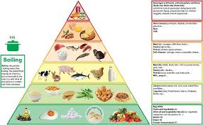 Phosphorus Pyramid For Ckd Provides Diet Advice Renal And