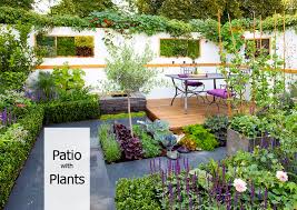how to decorate your patio with plants