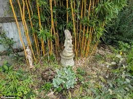 Gardeners Urged Not To Grow Bamboo