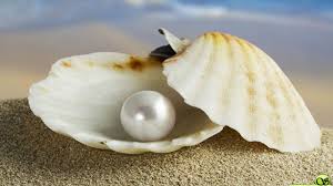 Image result for pearl