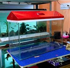 glass aquarium tank size 2 5ft by 1