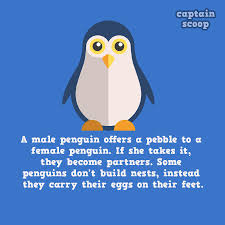 Interesting animal facts for kids. 15 Amazing Facts You Never Know About Animals Reckon Talk