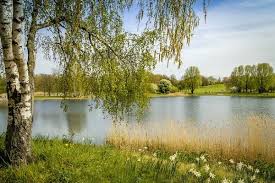 Der britzer garten ist eine einmalige grüne oase mitten in der großstadt. Der Britzer Garten Der Schonste Stadtpark Von Berlin