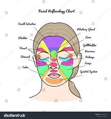 Cogent Reflexology Of The Face Chart Reflexology