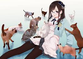 200 anime cat wallpapers wallpapers com
