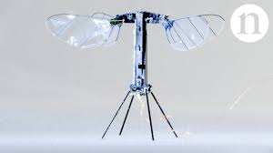 insect sized robot takes flight