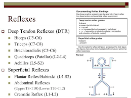 Image Result For Deep Tendon Reflex Nursing School Tips