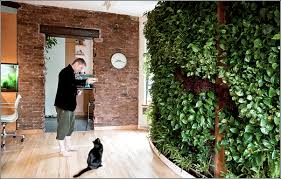 living walls and vertical gardens