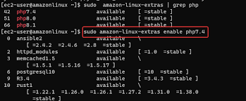 install php 7 4 on amazon linux 2
