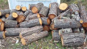 Do not contact me with unsolicited services or offers. Free Firewood Fir Located In Wilderville Claz Org