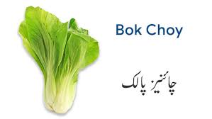 vegetable names in english and urdu