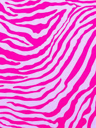 Pink Zebra Wallpaper Zebra Wallpaper