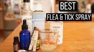 best ever natural flea and tick spray