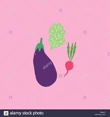 A List Of Summer Vegetables On A Chart Vector Color Drawing