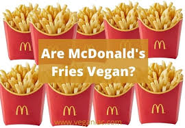 are mcdonald s fries vegan update in