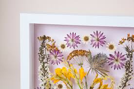 Step 1:prepare dried flower and glasses. Diy Pressed Flower Wall Art Design Sponge