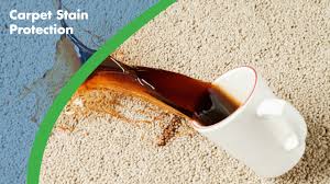 carpet stain protection chem dry by