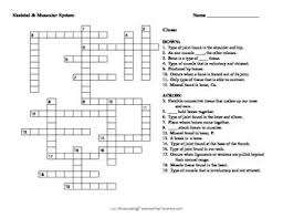 This crossword can be used in conjunction with the appendicular skeleton flash cards and word search. Musculoskeletal System Crossword Puzzle Musculoskeletal System Science Fair Projects Boards Science Fair Projects