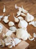 Which is best quality garlic?