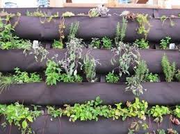 tips on making vertical herb garden
