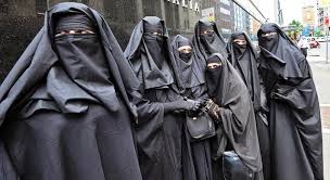 Znalezione obrazy dla zapytania burka